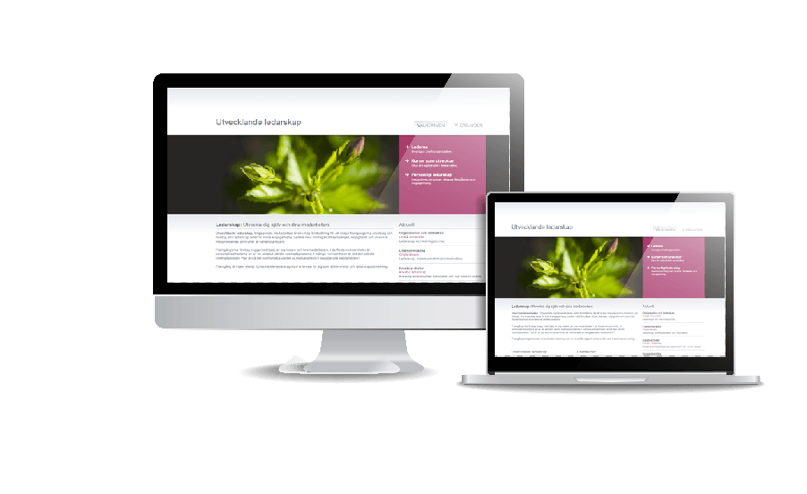 WordPress hemsida - webbdesign Snygg webbdesign galleri hemsidor 2018 Utvecklande Ledarskap hemsida webbdesign av webbyrån Hjälp med hemsidan