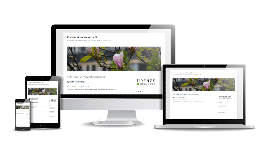 WordPress hemsida - webbdesign Galleri Snygga hemsidor 2018 Prenze Ekonomikonsult Täby Webbdesigner Annika Vallgren Hjälp med hemsidan