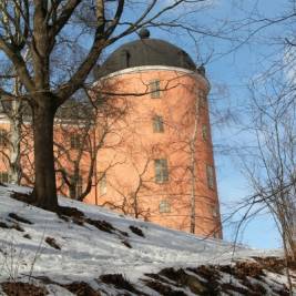 Hjälp med hemsida Uppsala