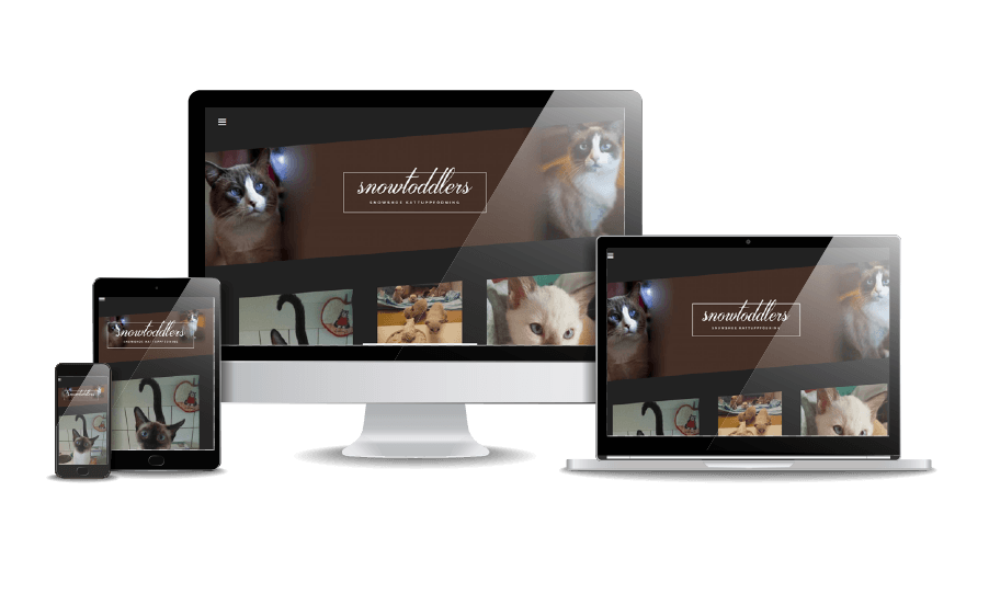 WordPress hemsida - webbdesign Snygg webbdesign Galleri 2018 Snowtoddlers kattuppfödning Webbdesigner Hjälp med hemsidan