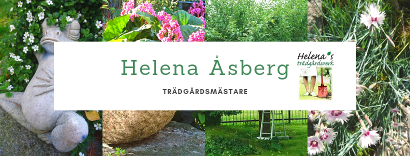 Helena Åsberg Facebook bild